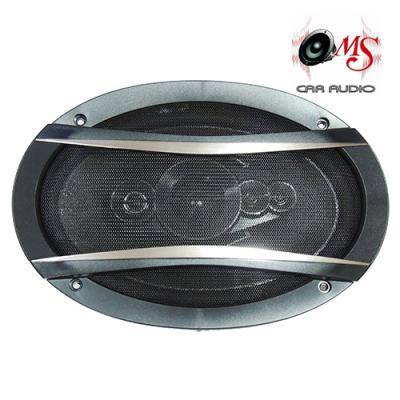 PARLANTE OVALADO 6″ X 9″ / TS6996A